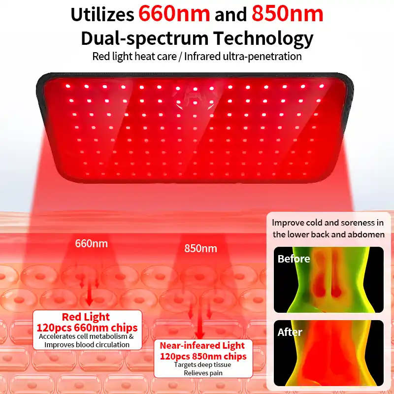 A flexible red light therapy belt 8 Anatomy of a flexible red light therapy belt showing LED layout and control unit
